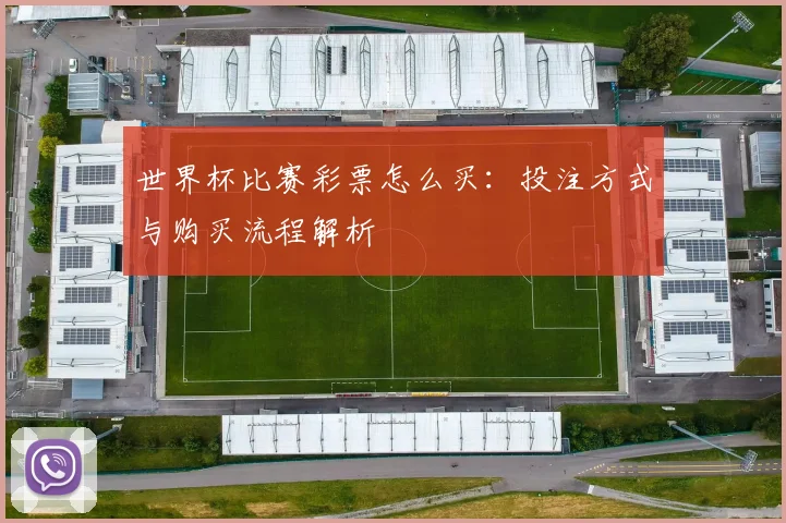 世界杯比赛彩票怎么买：投注方式与购买流程解析