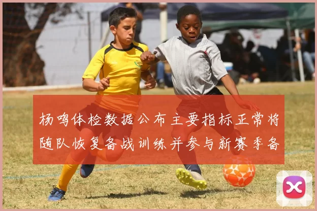 杨鸣体检数据公布主要指标正常将随队恢复备战训练并参与新赛季备战计划