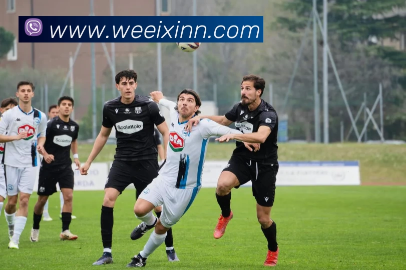 奇异果体育 - 奇异果体育(中国)官方网站平台生态图